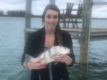 Sarasota Report Photo 1