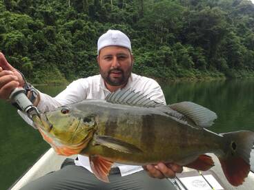 Envigado Report Photo 3