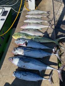 Dania Beach Report Photo 1