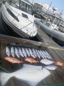 Alaska Affordable Adventures 8 hour trip