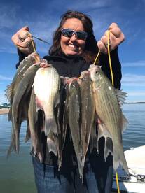 Grapevine Report Photo 1