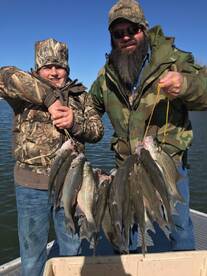 Grapevine Report Photo 2