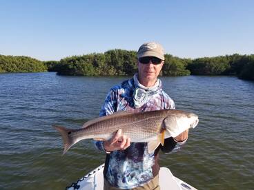 Clearwater Report Photo 1