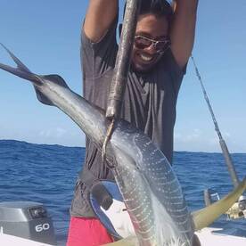 Catch a yellowfin with us