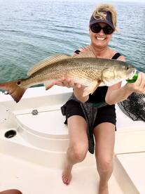 Punta Gorda FL & Carlotte Harbor Report