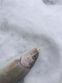 Ice season coming to an end