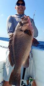 Puerto Aventuras Report Photo 2