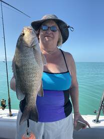 Jumbo Mangroves, Mack’s, Sharks