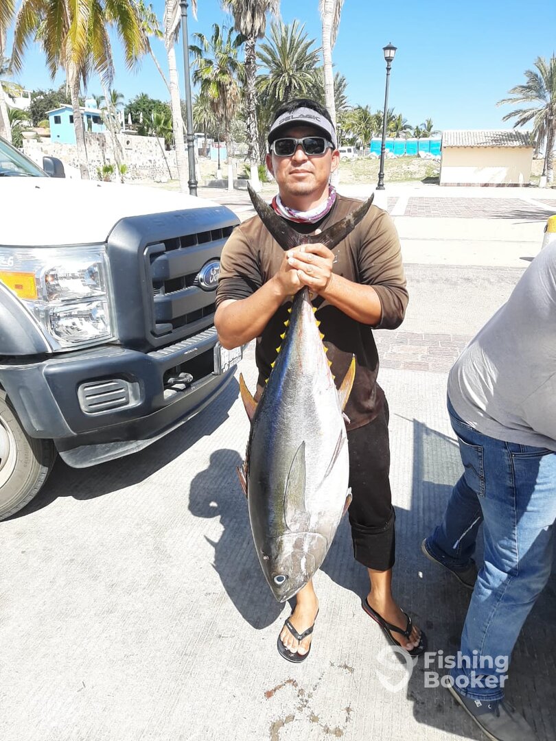 San Jose del Cabo Report Photo 0