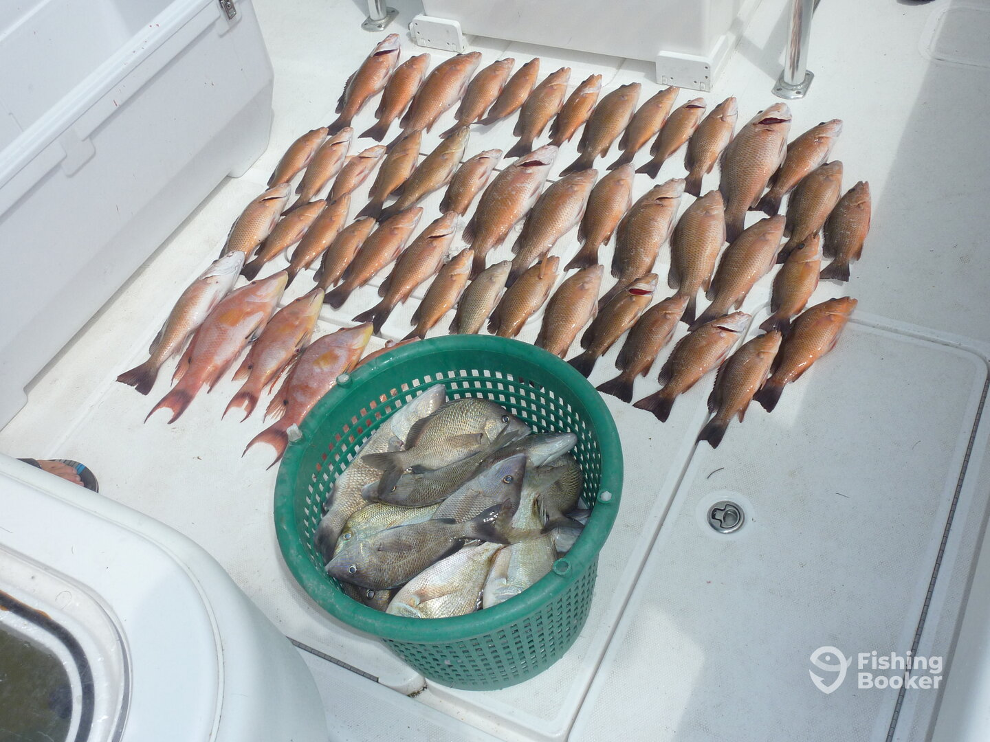 Madeira Beach Report Photo 0