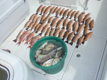 Recent Near Shore Trip