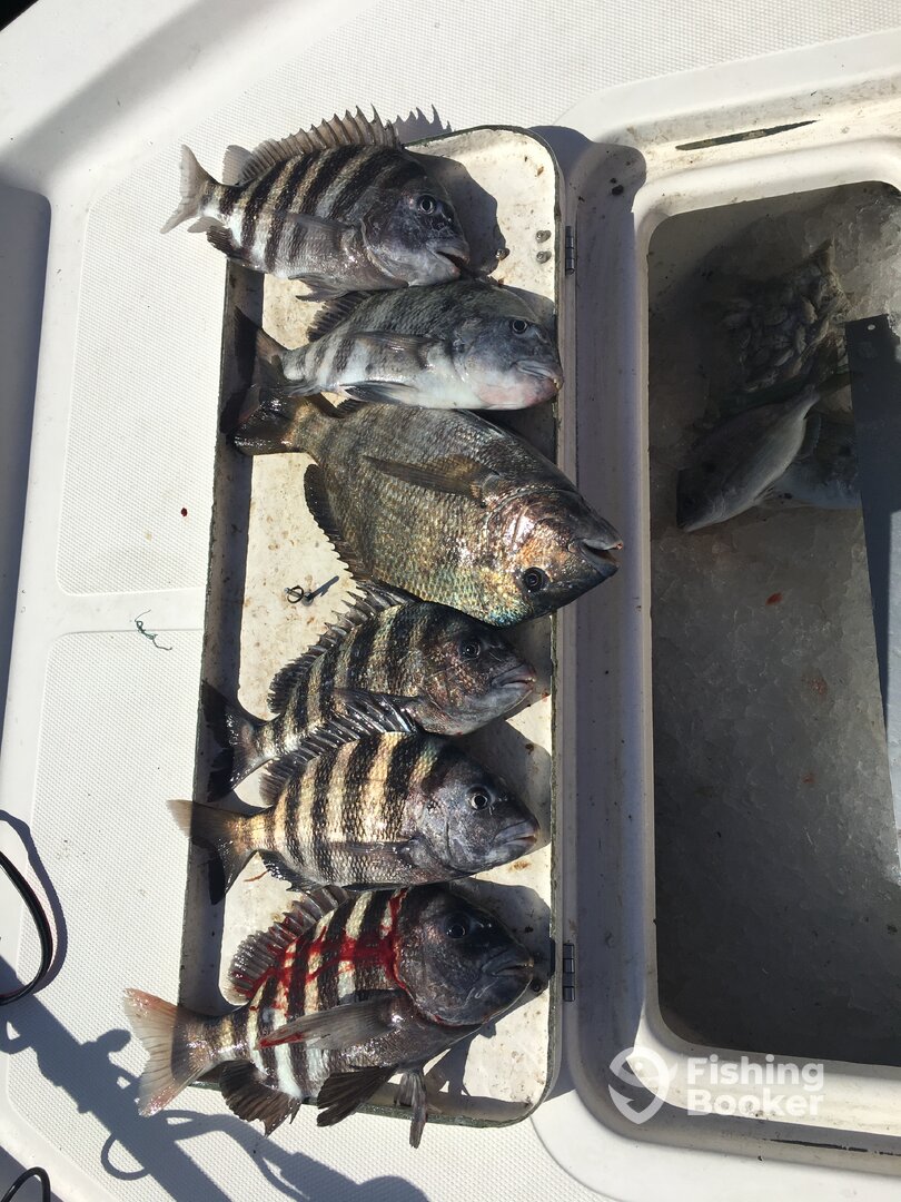 Port Canaveral Report Photo 0