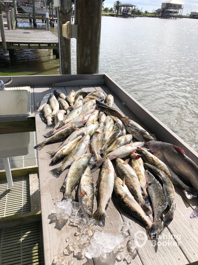 New Orleans Report Photo 0