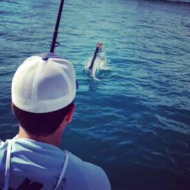 Book your April/May Tarpon trip now. 