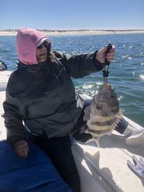 Orange Beach Report Photo 2