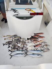 Jensen Beach Report Photo 1