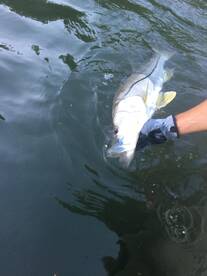 Fishing charters in San Juan