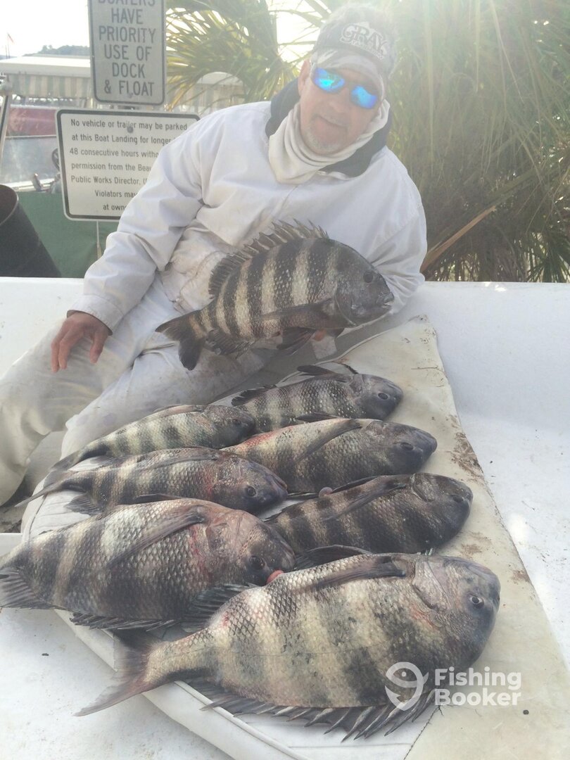 Hilton Head Island Report Photo 0