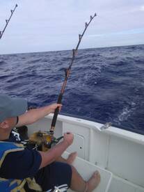Le Morne Report Photo 2