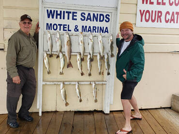 Port Isabel Report Photo 2