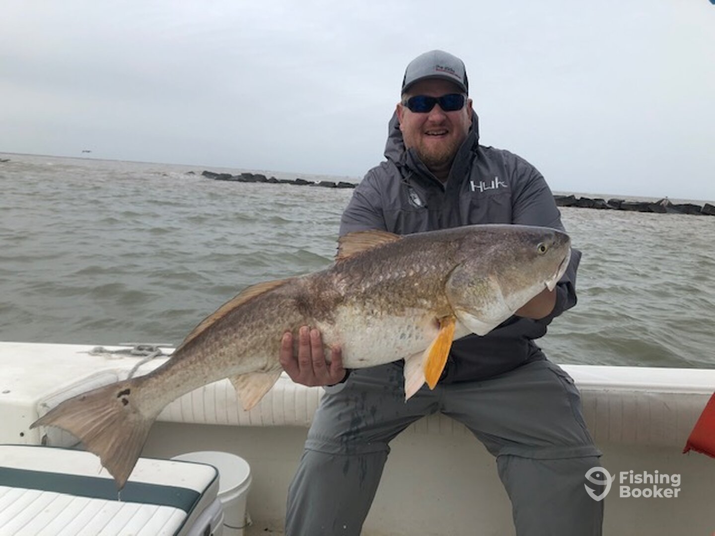 Galveston Report Photo 0