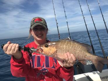 Belleair Bluffs Report Photo 1