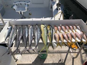 Key West Report Photo 2