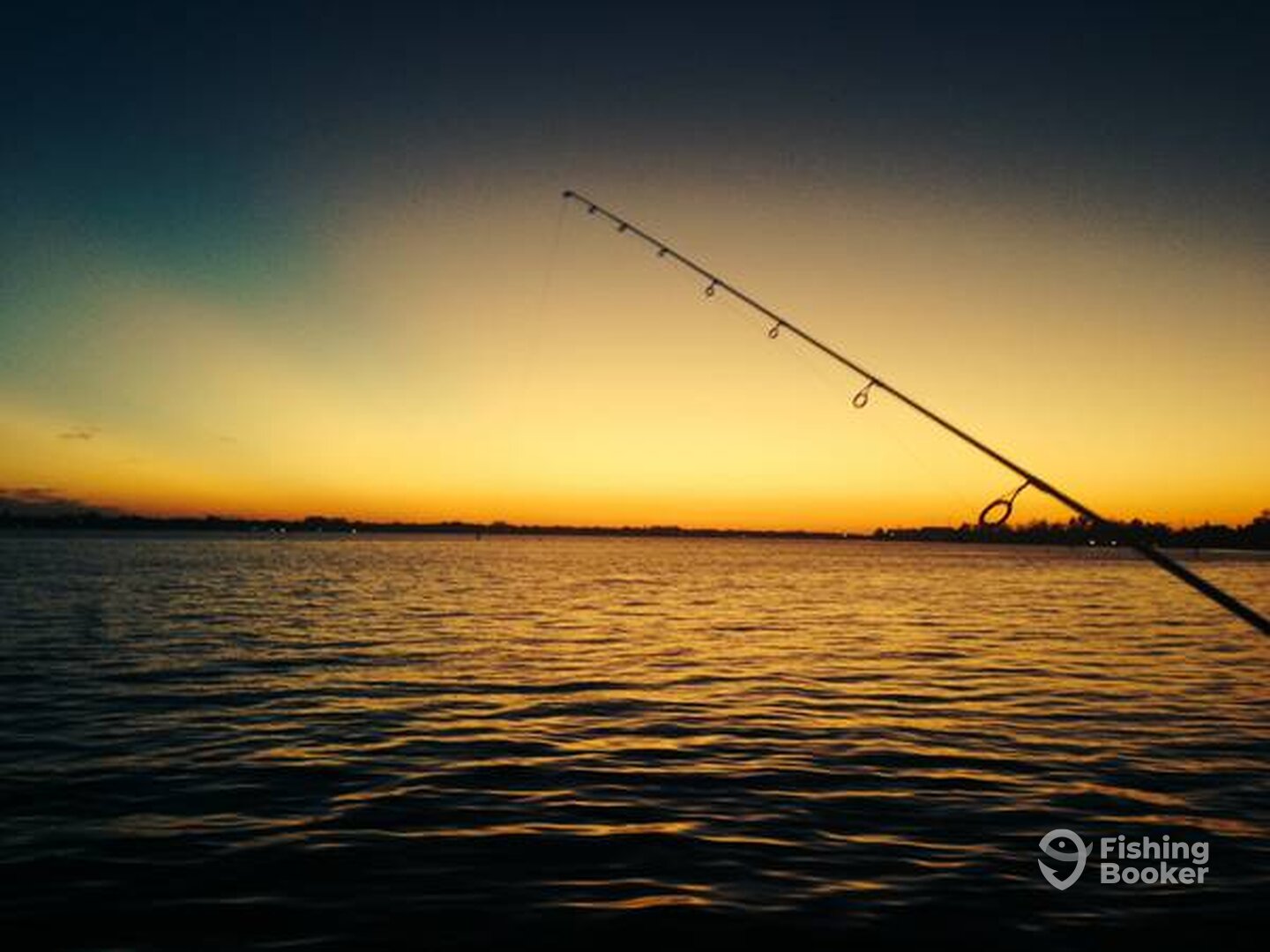 Sarasota Report Photo 0