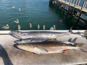 West Palm Beach Report Photo 2