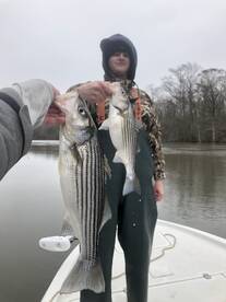 Beaufort Report Photo 2