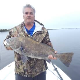 Black Drum, Rdfish and Snook!