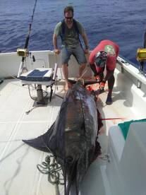 Le Morne Report Photo 2