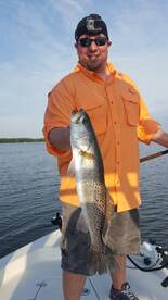 Gator trout