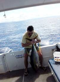 Cuvu Report Photo 2