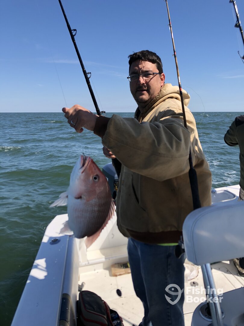Gulf Shores Report Photo 0