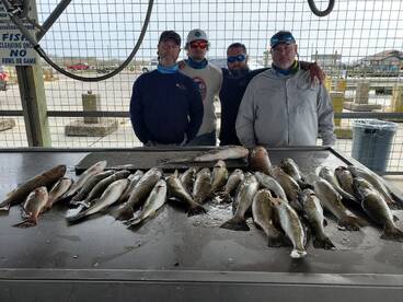Matagorda Report Photo 1
