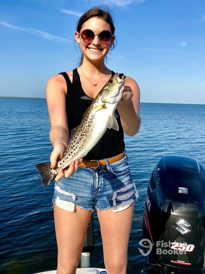 Punta Gorda Report Photo 0