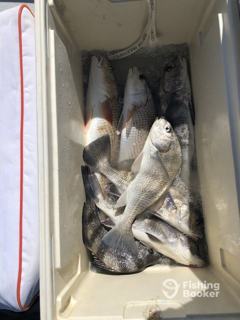 Rockport Report Photo 0