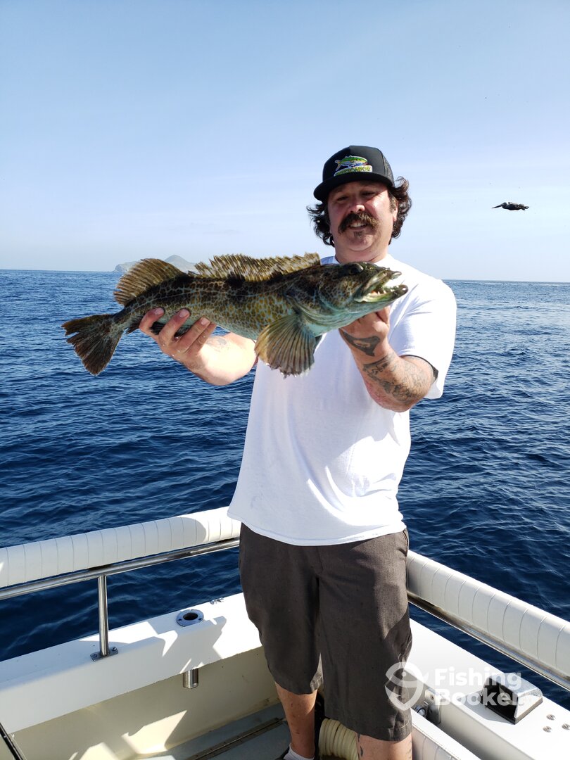 San Diego Report Photo 0