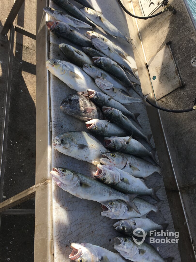 Port Canaveral Report Photo 0