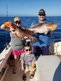 Huge Red Grouper everywhere!