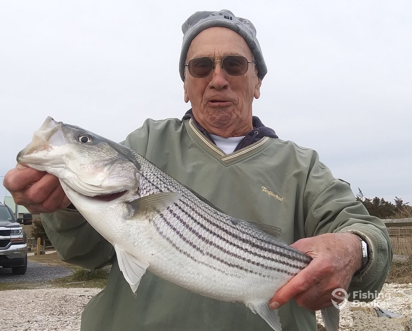 Chincoteague Report Photo 0