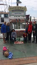 Mingos and triggers where biting today!