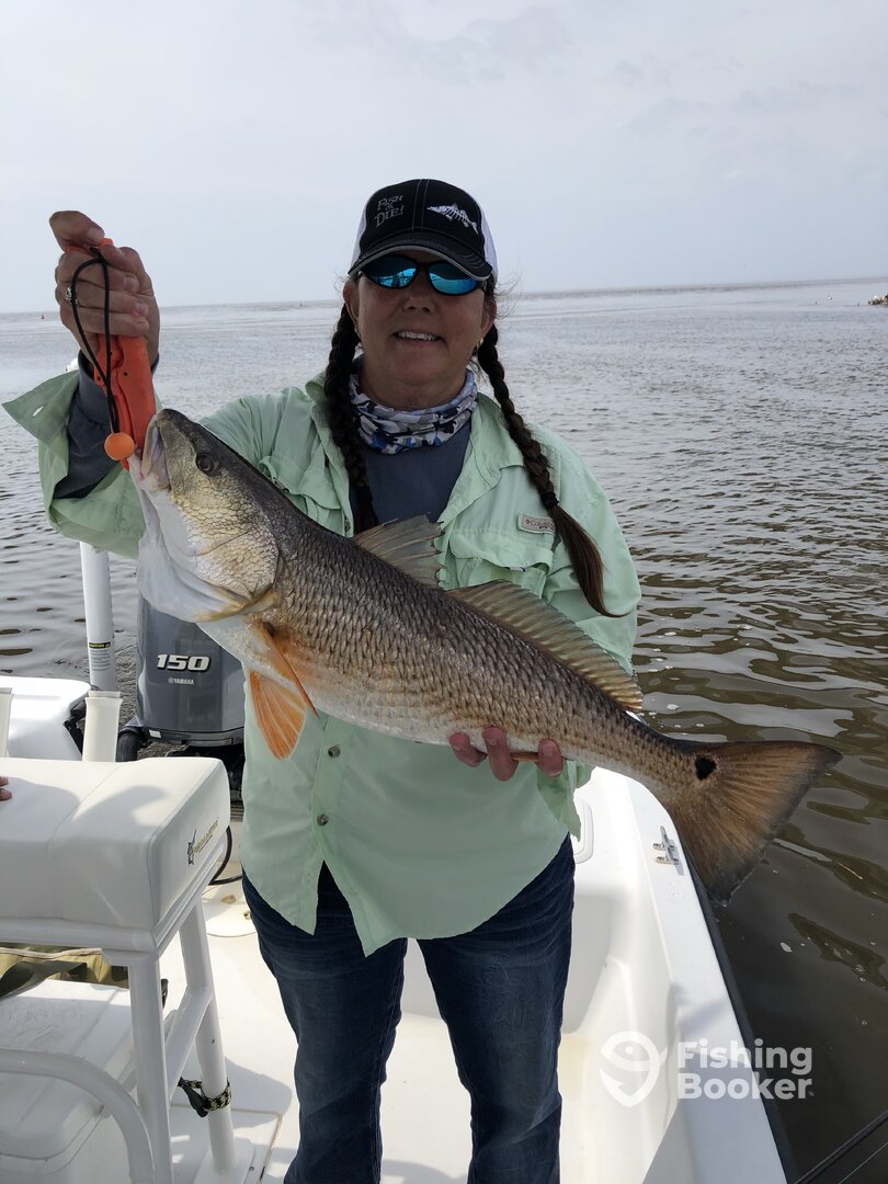 Port St. Joe Report Photo 0