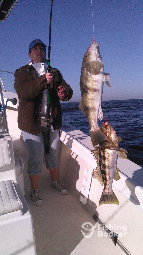 Coronado Report Photo 0