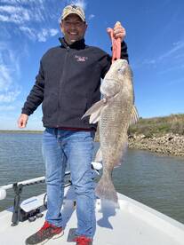 Texas City Report Photo 1
