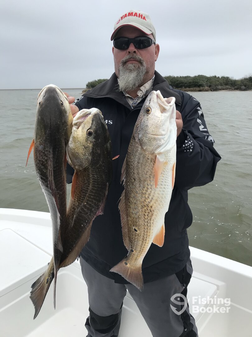 Texas City Report Photo 0