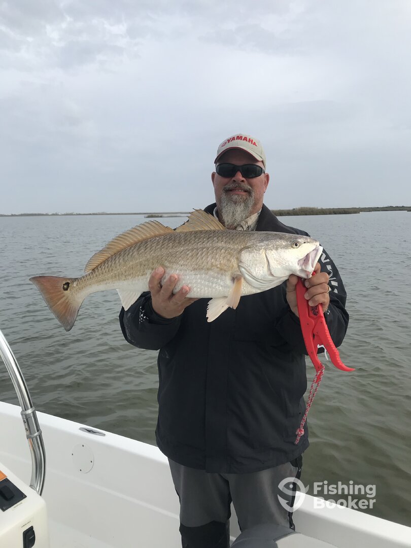 Texas City Report Photo 0