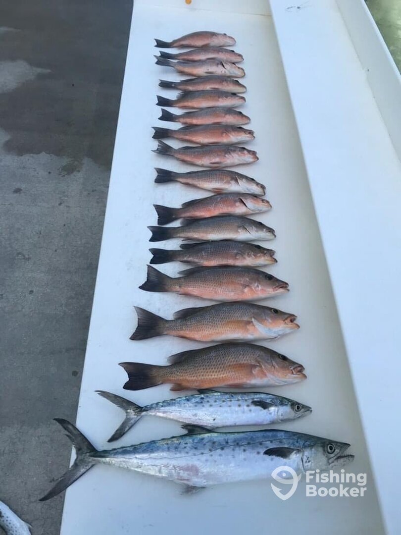 Islamorada Report Photo 0