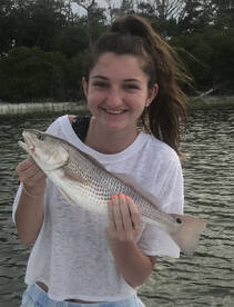 Destin Report Photo 1